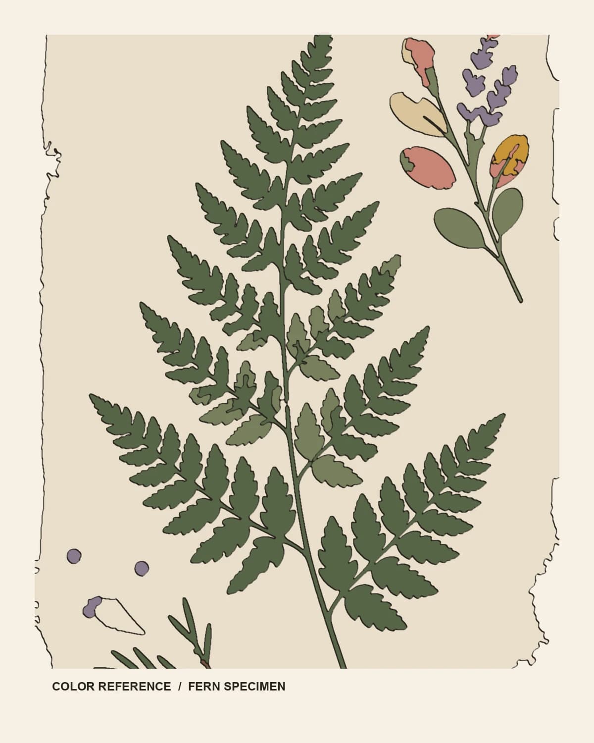 Vintage-Herbarium 2