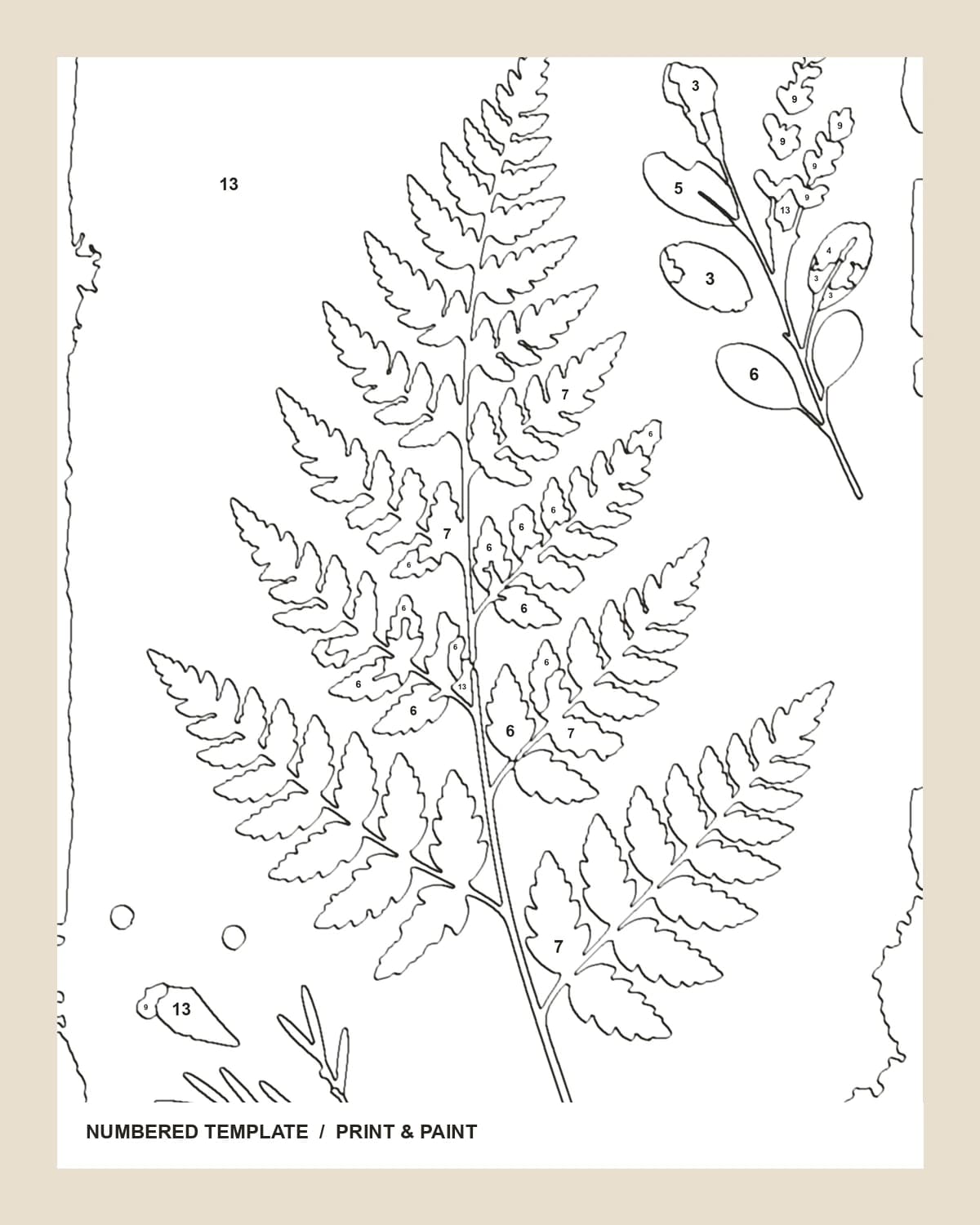 Vintage-Herbarium 3