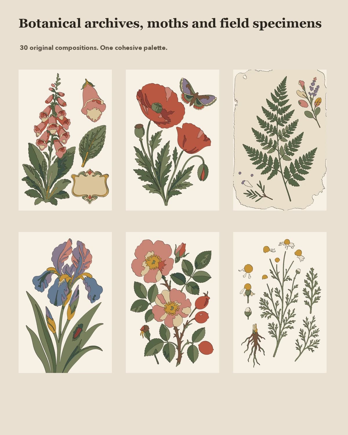 Vintage-Herbarium 4